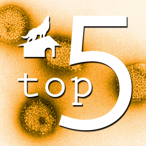top5ikona_nemoci.jpg